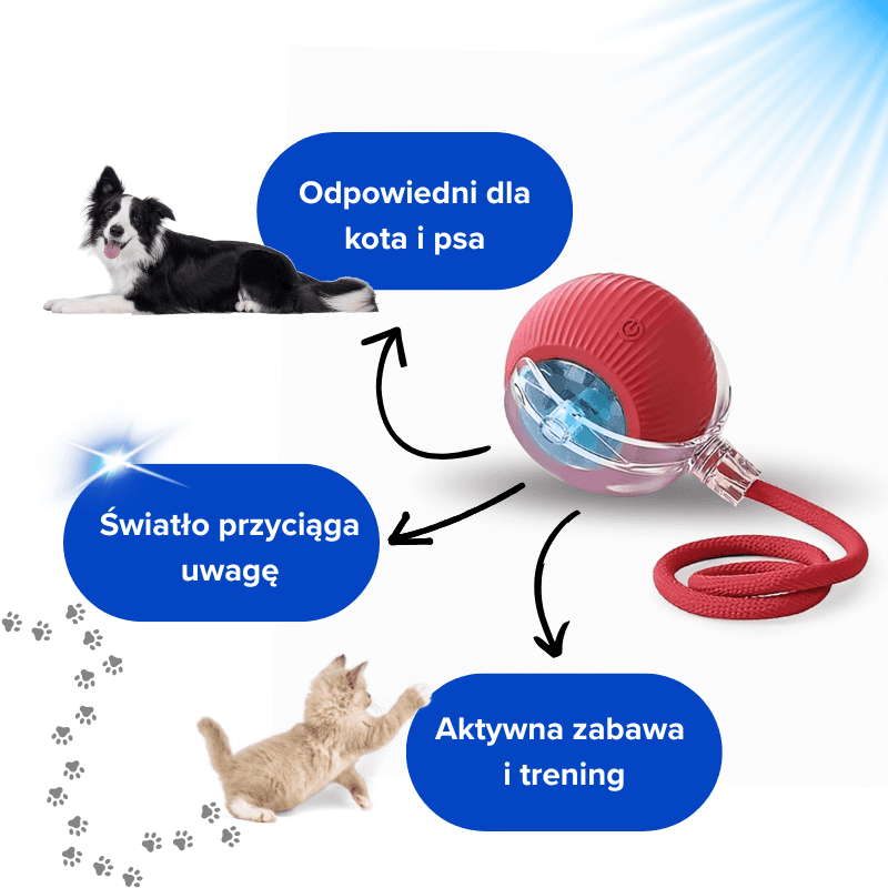 Zabawka, która sama ucieka!