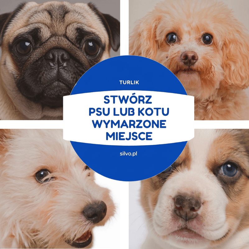 Turlik - uciekająca piłka do samodzielnej zabawy